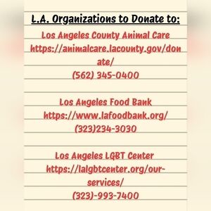 Los Angeles Organizations to Donate to for Fire Relief